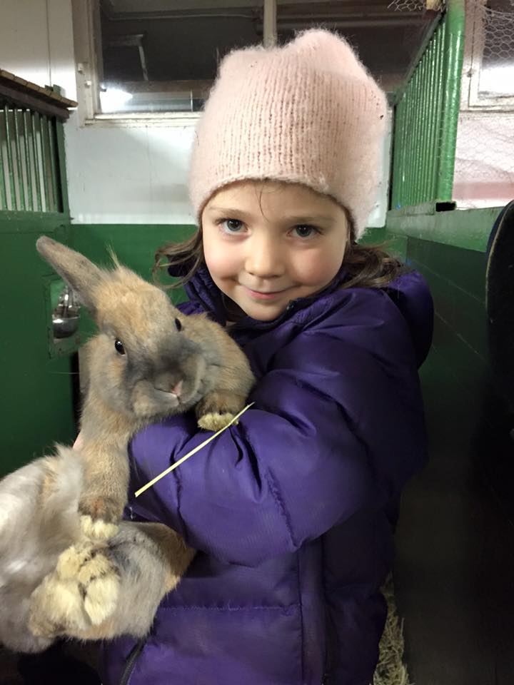 En søt jente som holder en kanin. En dag i husdyrparken er et perfekt gavetips til barn som er glad i dyr.