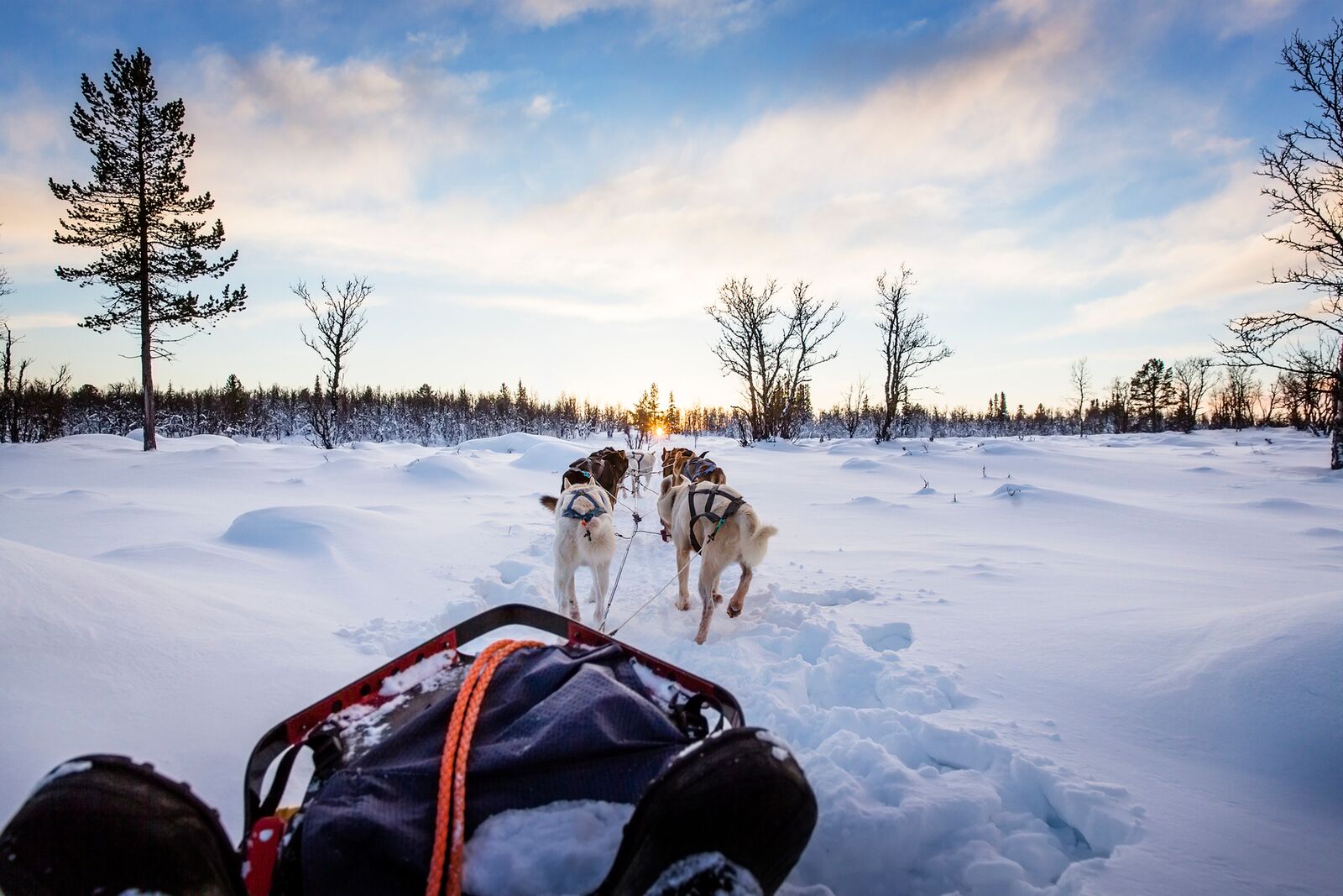 Hundespann som trekker en slede innover i et vakkert snødekket landskap. En perfekt ting å gjøre med kjæresten.
