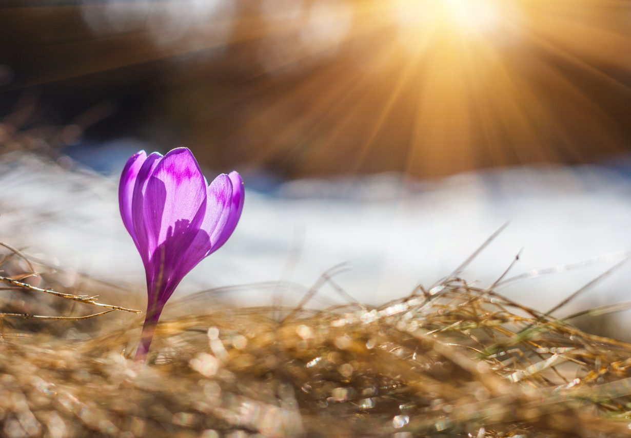 Våren er her – 7 gavetips til vårlige opplevelsesgaver!